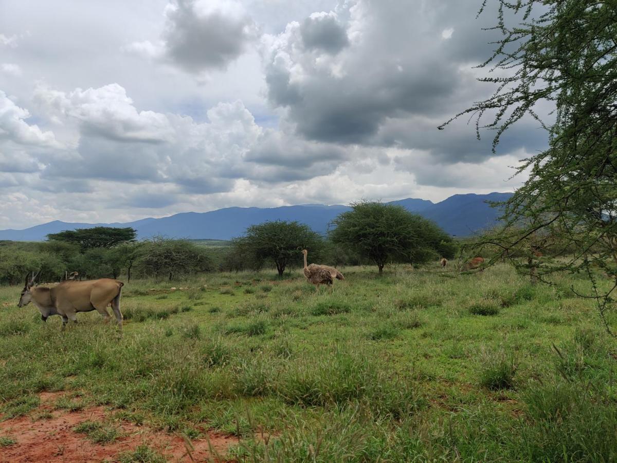 Oldonyo Orok Lodge Kajiado Exterior photo