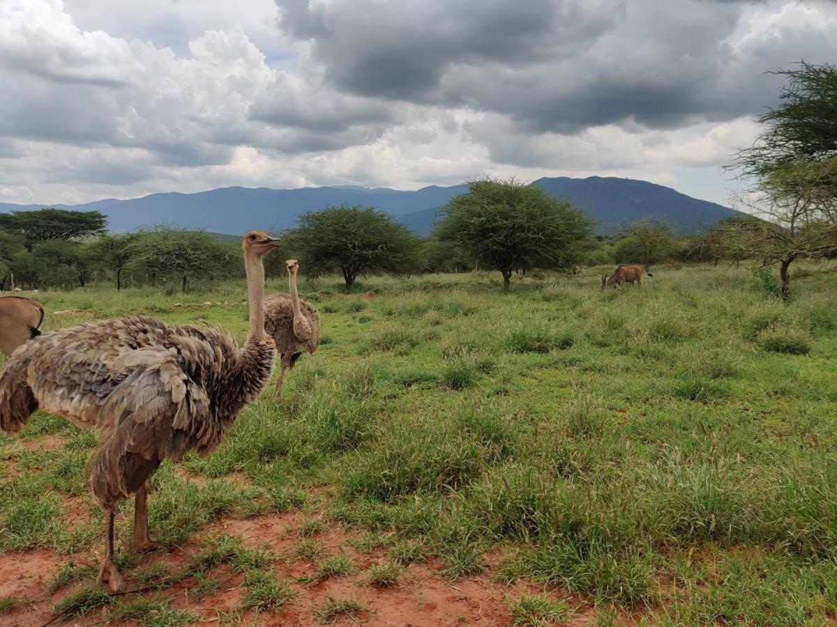 Oldonyo Orok Lodge Kajiado Exterior photo